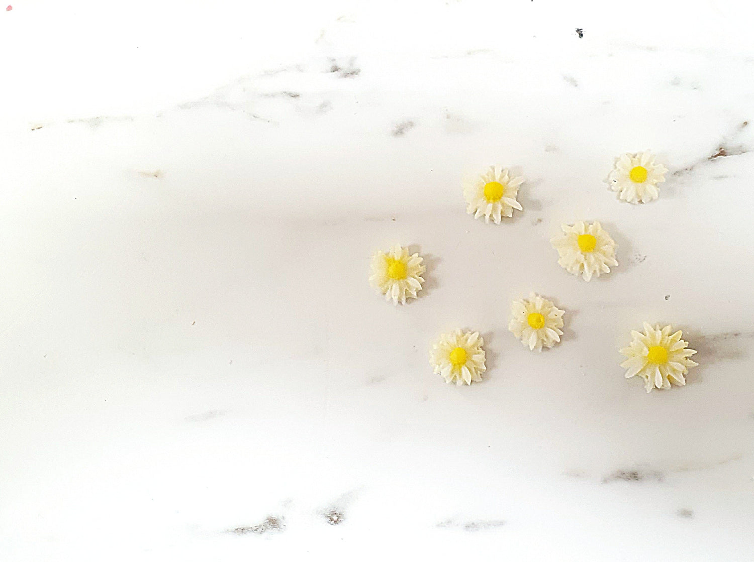 Spring collection