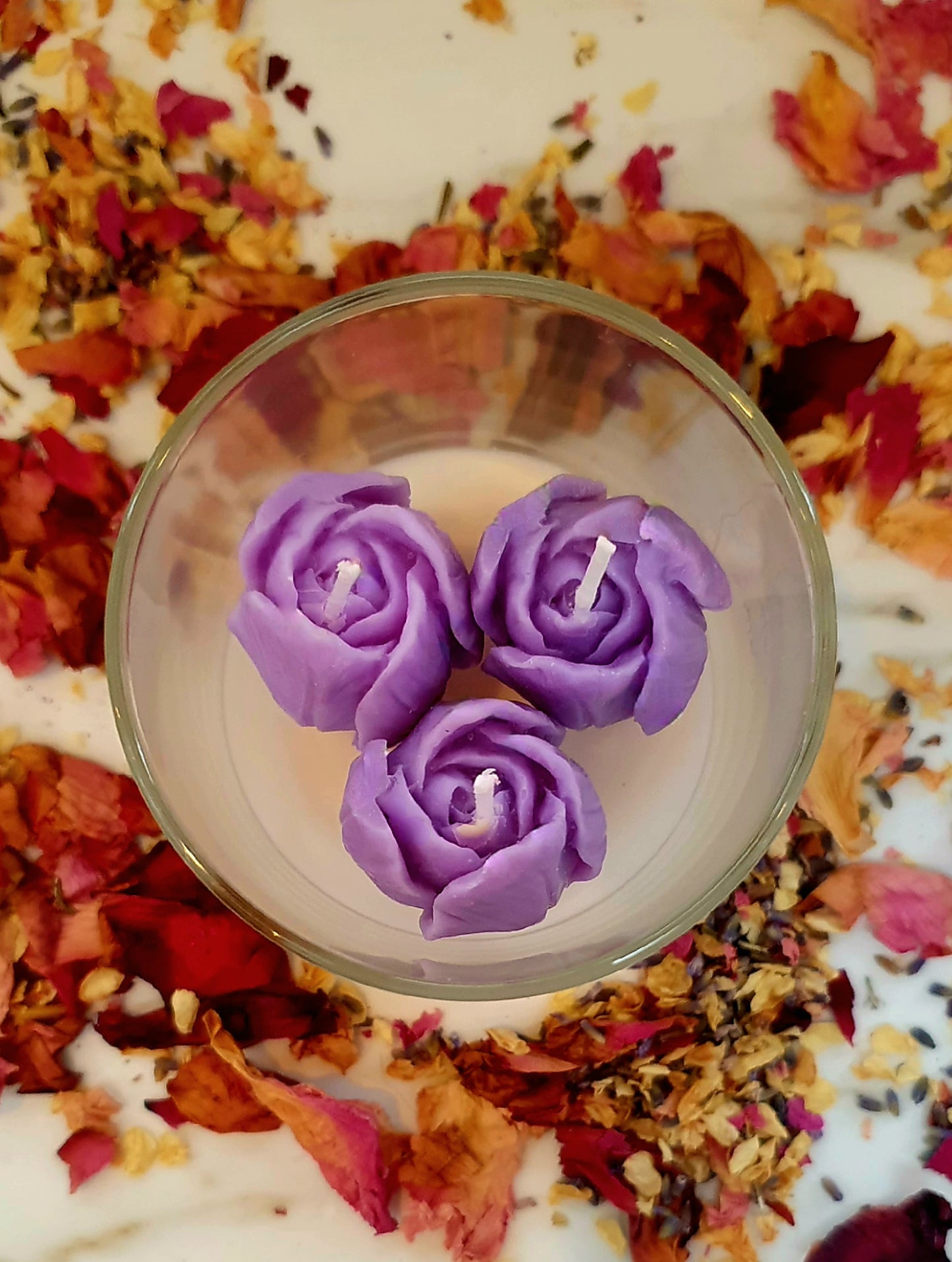Tender Tulips in 30cl jar