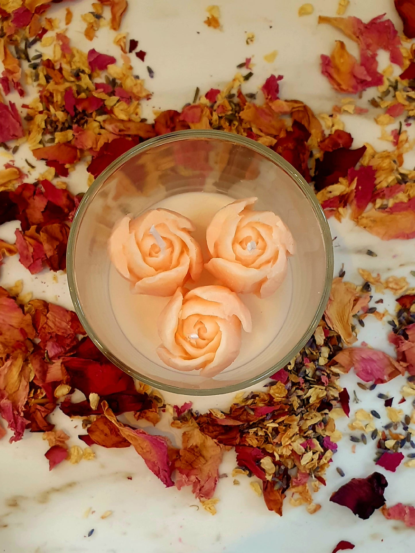 Tender Tulips in 30cl jar