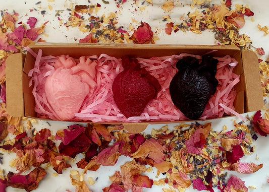 X3 anatomical hearts tealights